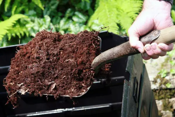 Taking Out Soil From Compost Bin