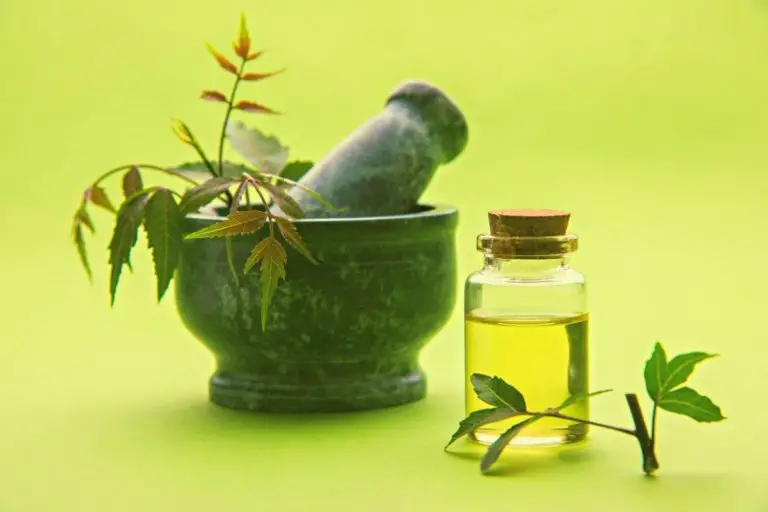 What Is Neem Oil: The Basics of This Amazing Remedy