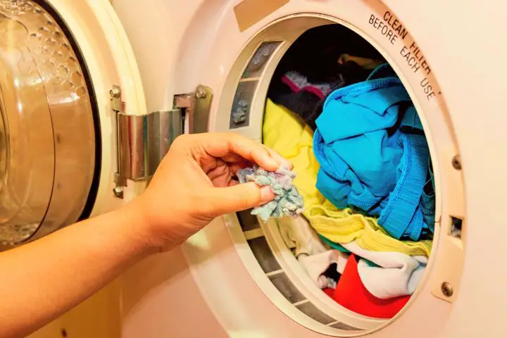 Woman Puts Clothes In Dryer