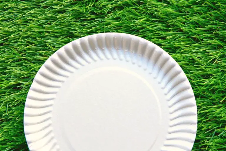Are Paper Plates Compostable? | Some are, Some are not! 