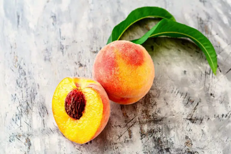 Can You Compost Peach Pits? | + information about peaches and drupes