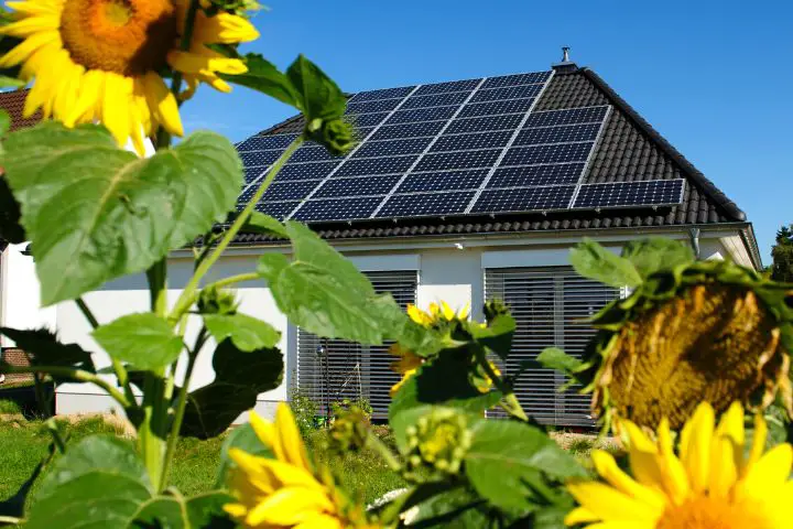 House With Solar Panels And Sunflowers
