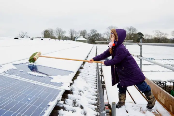 Woman Cleans Solar Panels From Snow