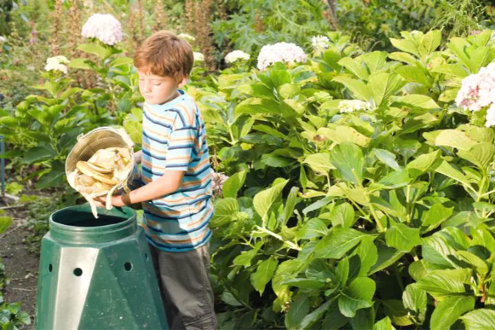 Boy Throws Banana Skins Into Compost
