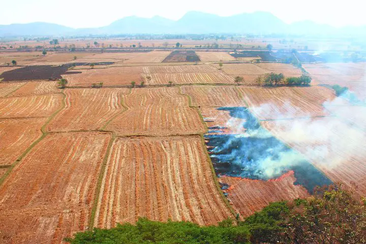 Burning Field Due To Climate Change