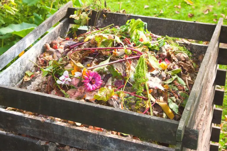 How Composting Works: The Science Behind It