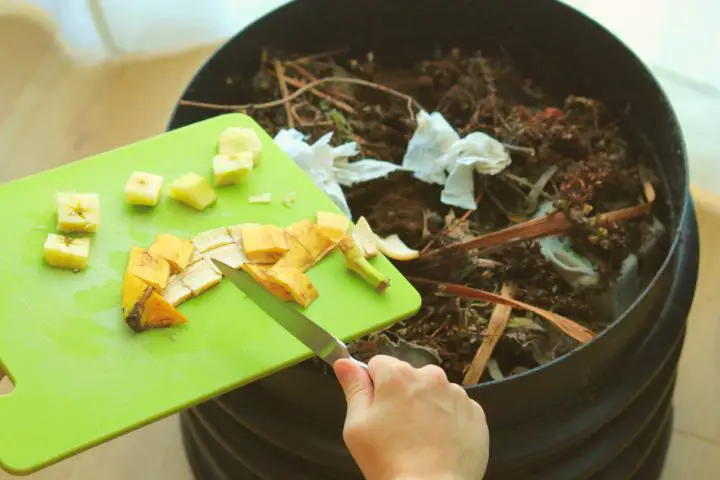 The Boy Puts The Banana Skin Into The Compost
