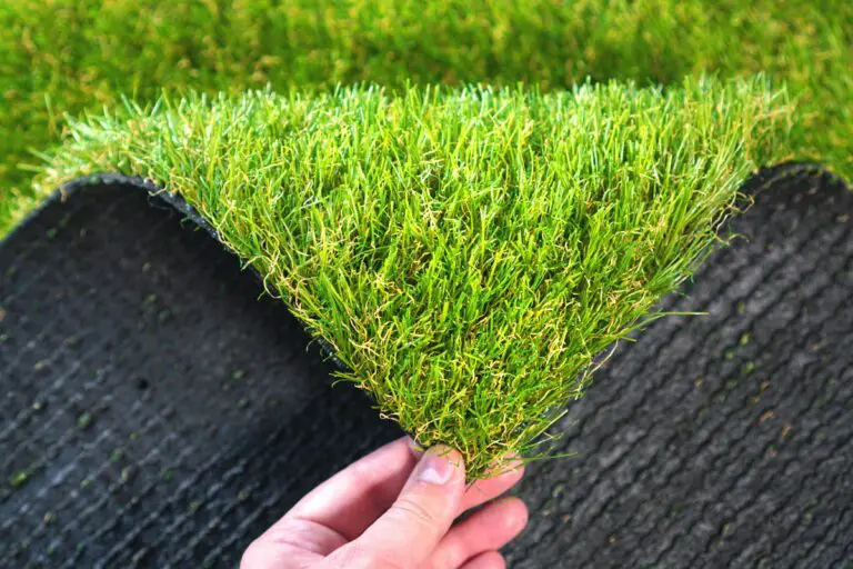 Artificial Grass Alternatives | + why artificial grass is not very eco-friendly