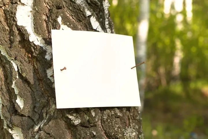 Converting Tree Into Paper