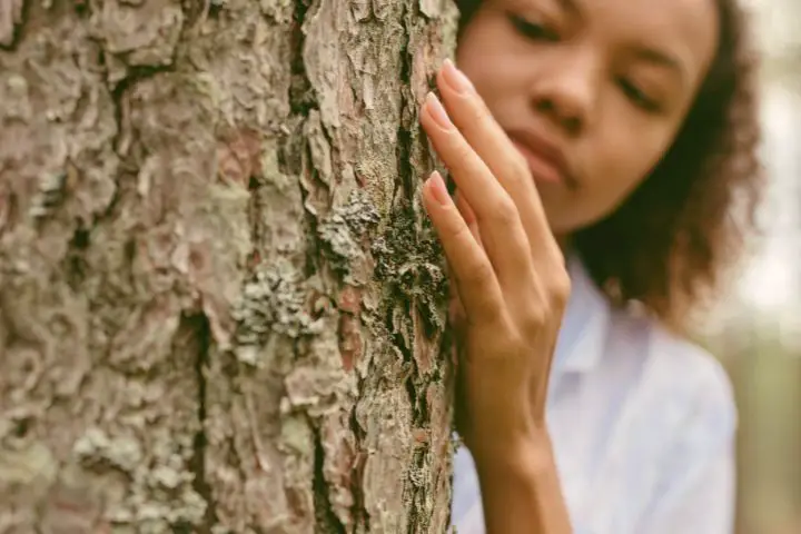 Woman Touches Tree With Her Hand 1