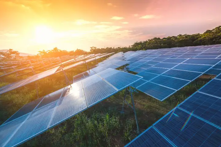 Solar Farm At Sunset
