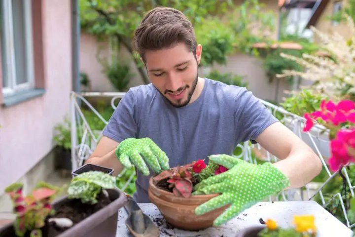 Man Working In His Patio With Plants