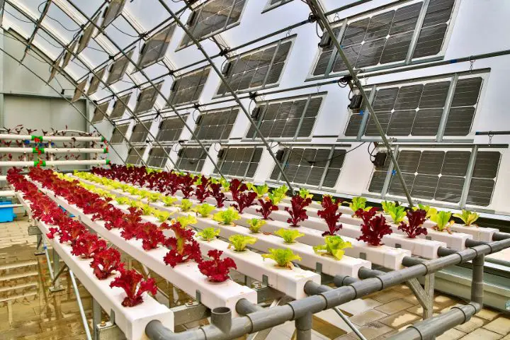 Hydroponic Greenhouse With Solar Power
