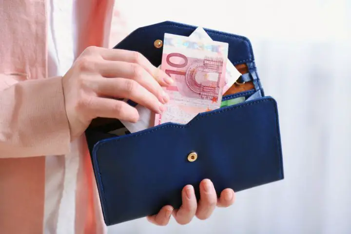Person Holding Leather Purse With Banknotes