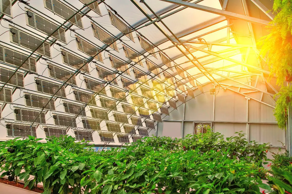 The Farmers Guide To Solar Greenhouses